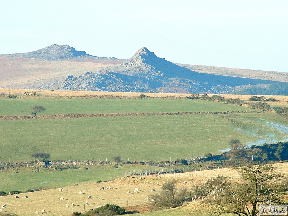 Looking across Yellowmead down to Combshead Tor and Down Tor