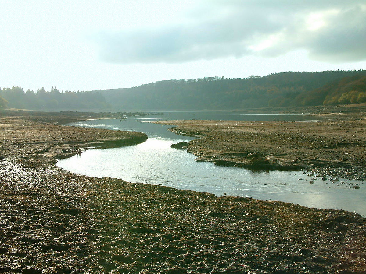 The River Meavy flows between mud banks down to the lower level of water