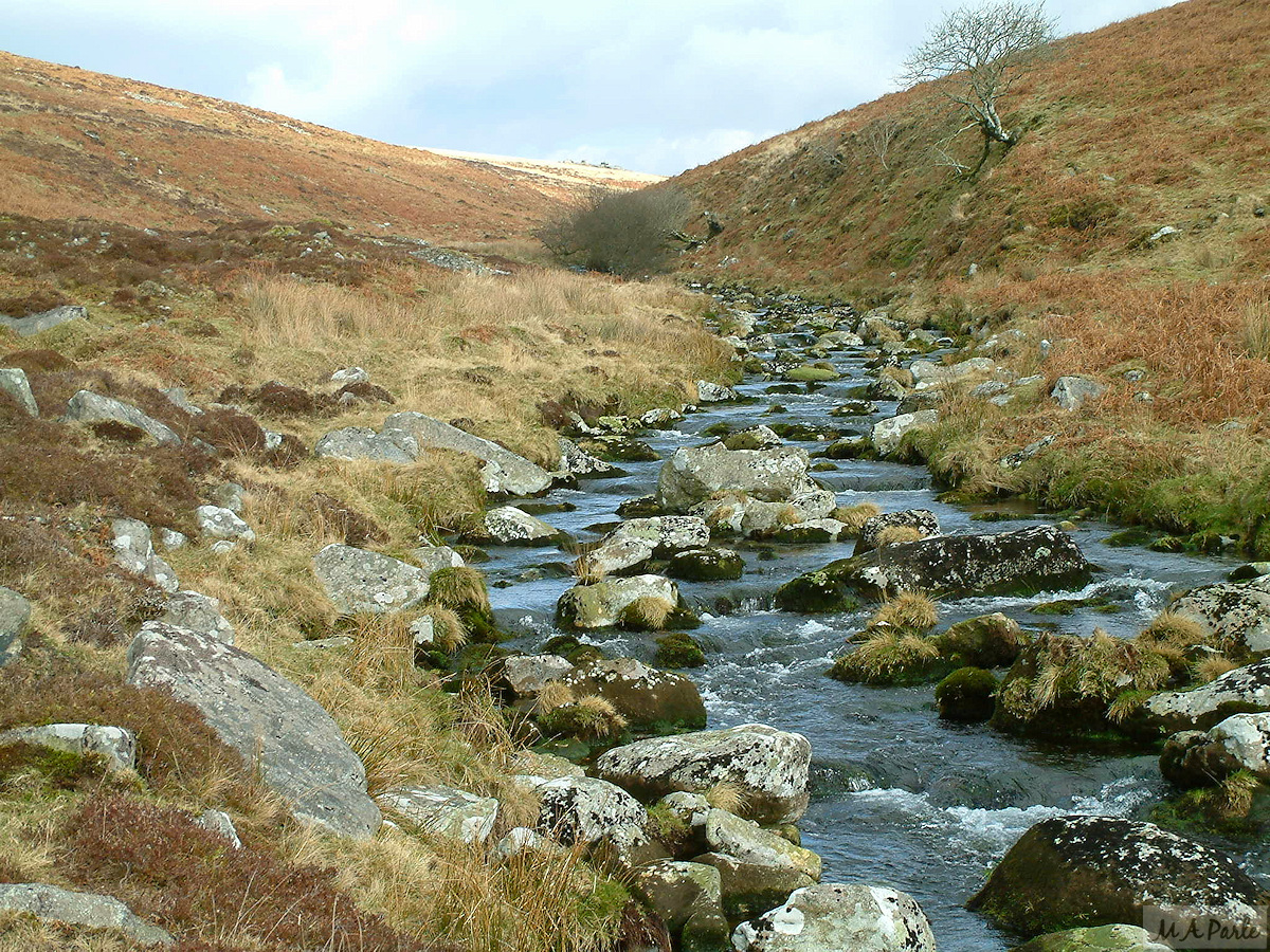 The River Plym upstream from Giant's Basin
