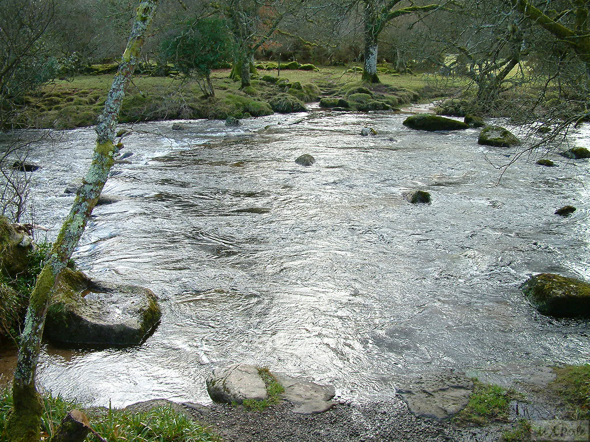 Stepping stones under water at this footpath crossing of the West Dart River