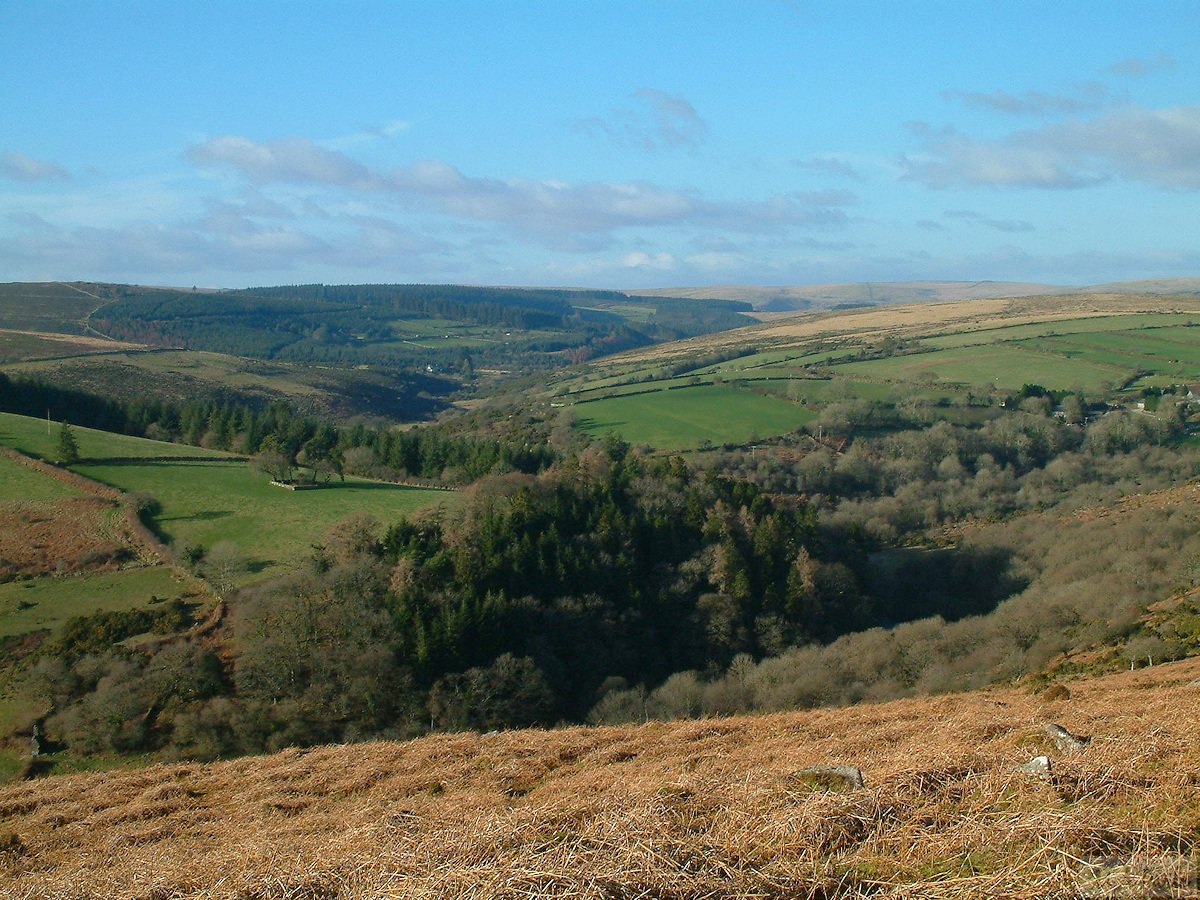 East Dart valley viewed from Yar Tor