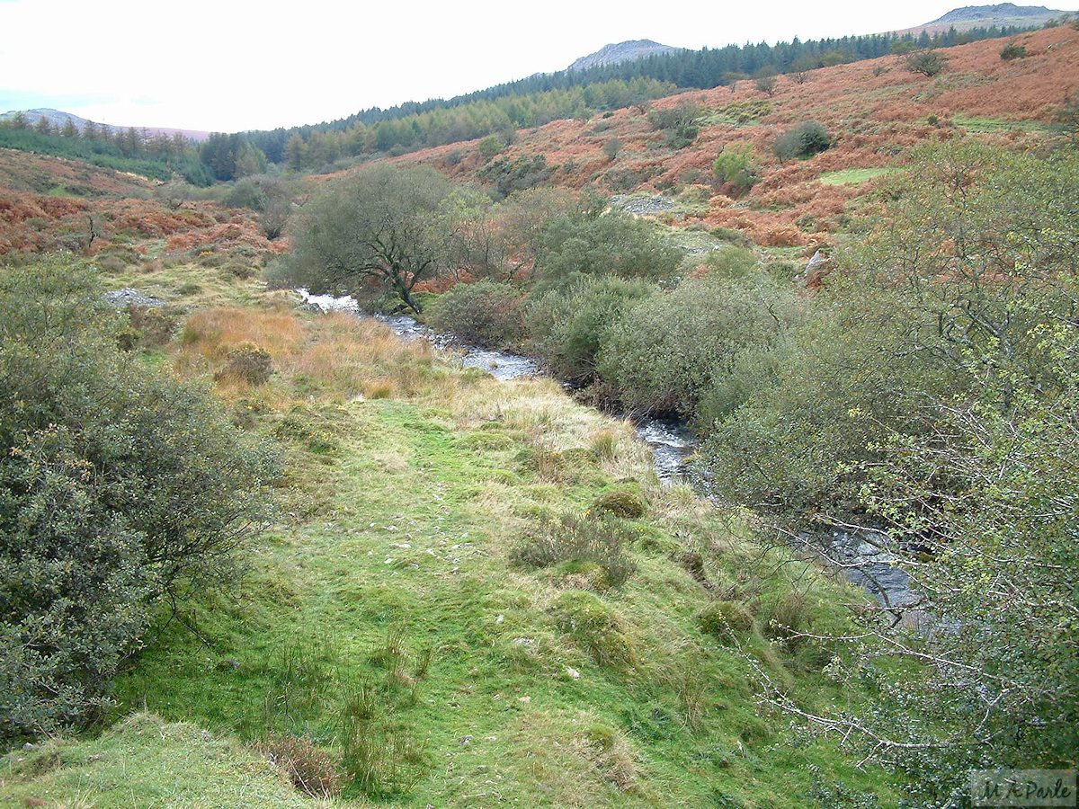 River Meavy with remains of tin working