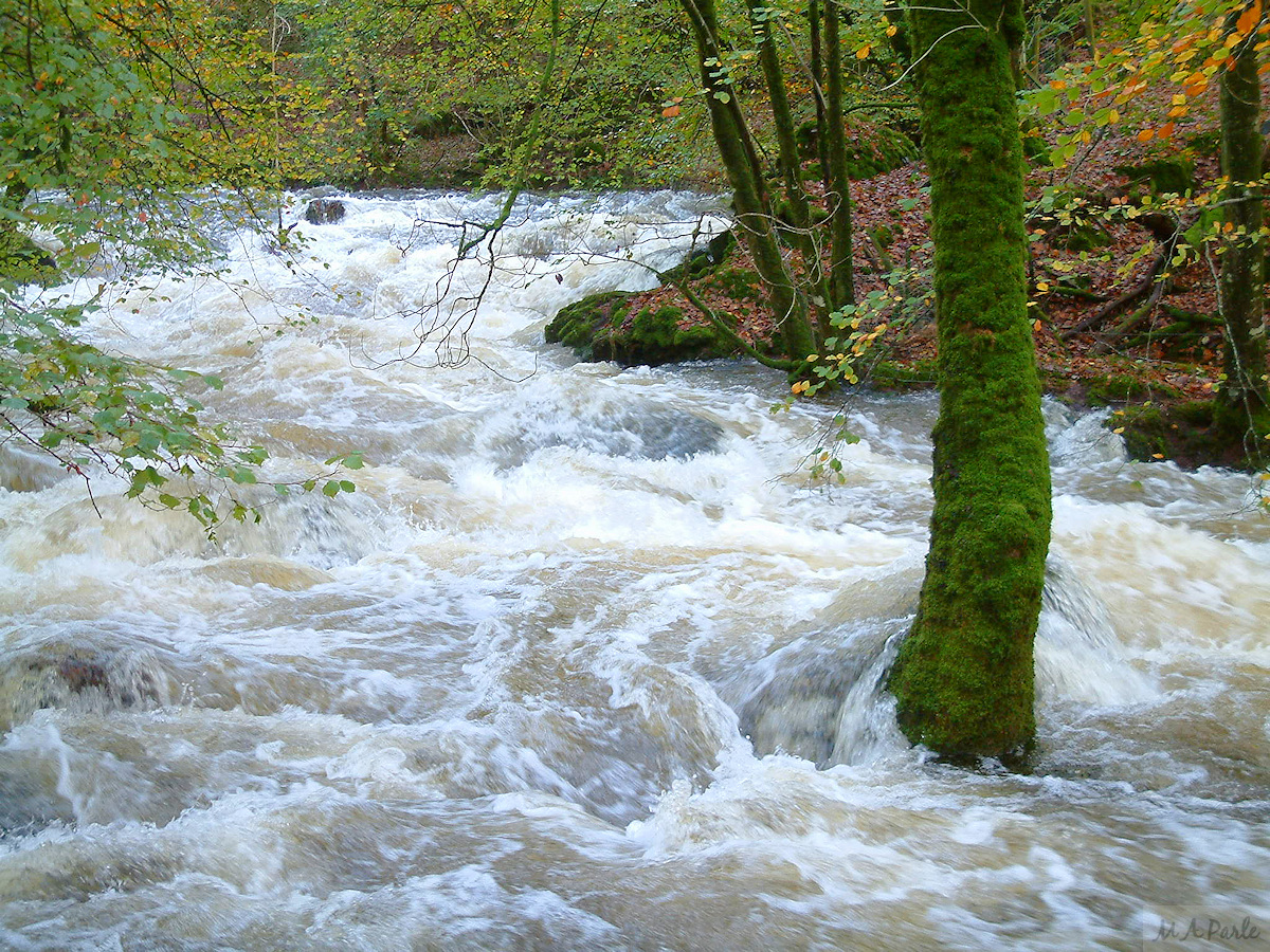 River Meavy in flood