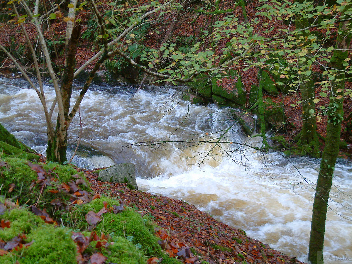 River Meavy
