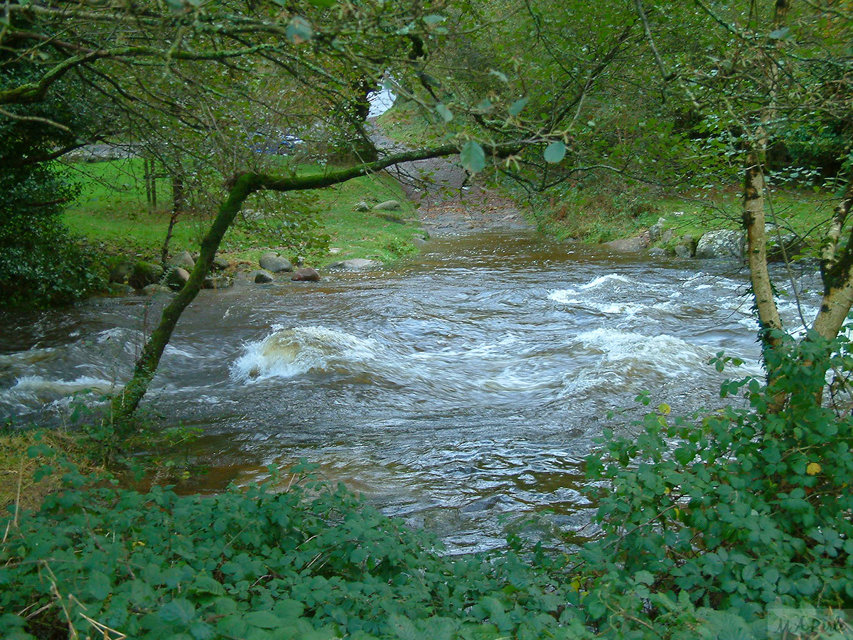 Meavy Ford
