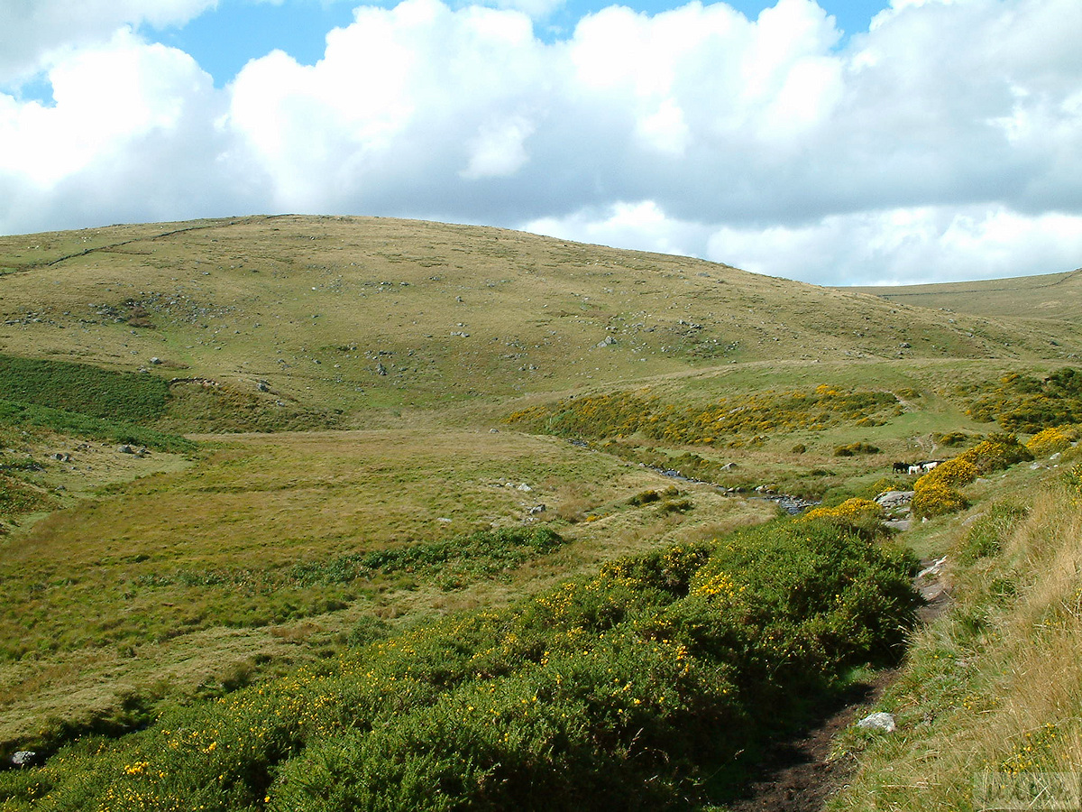 East Dart valley with Winney's Down beyond