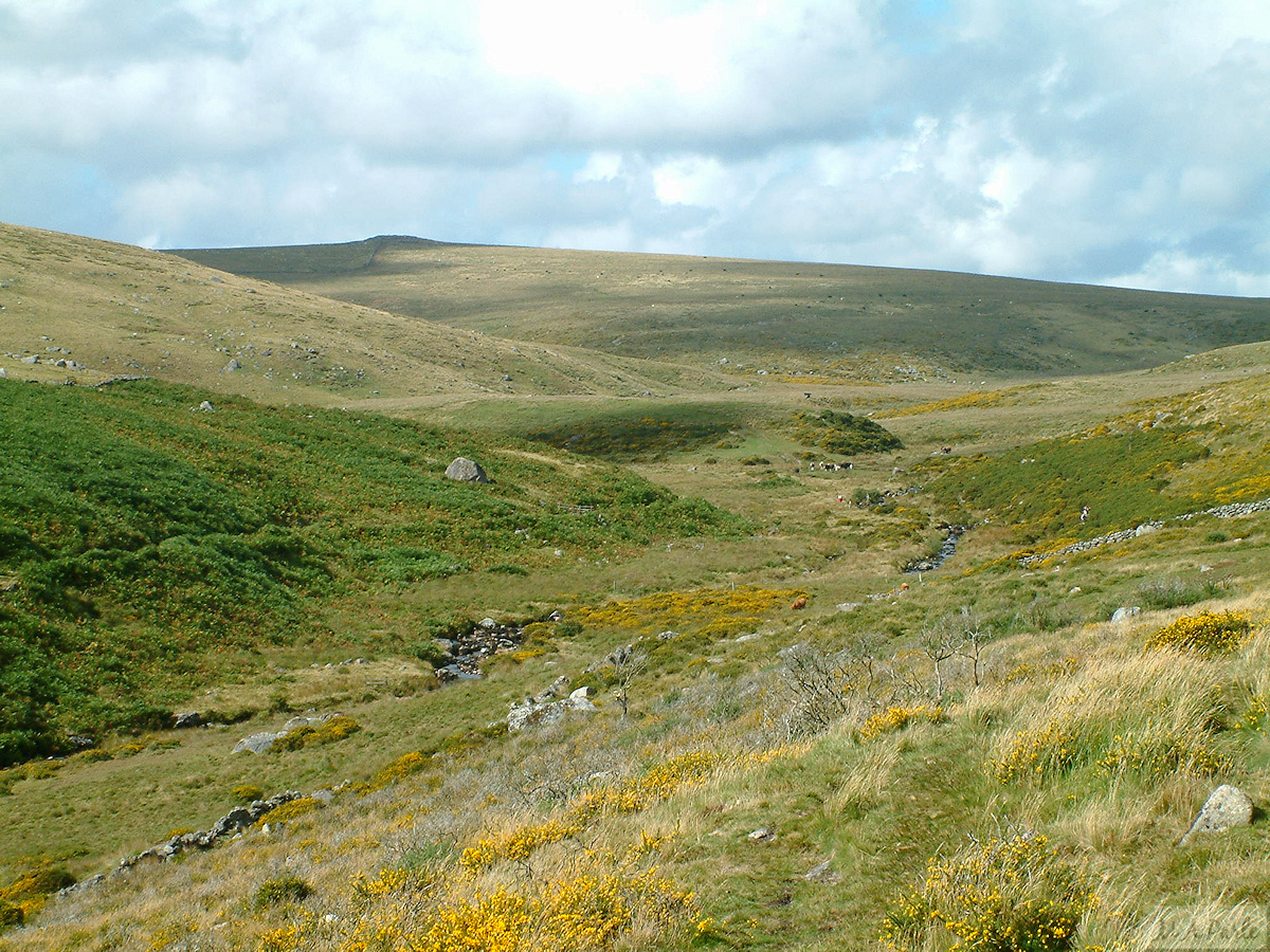 East Dart valley with Sittaford Tor way beyond