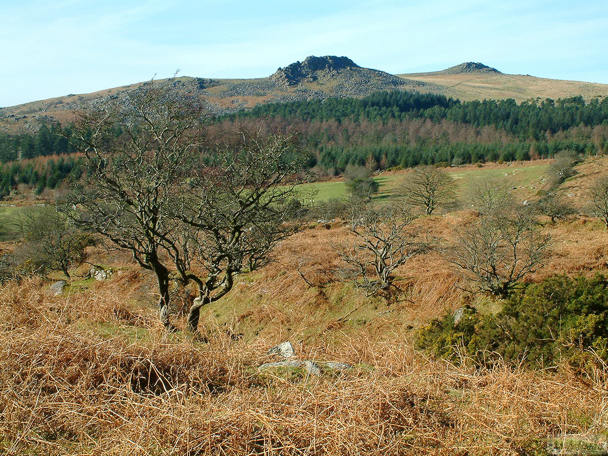 Looking across to Leather Tor from lower slopes of Down Tor