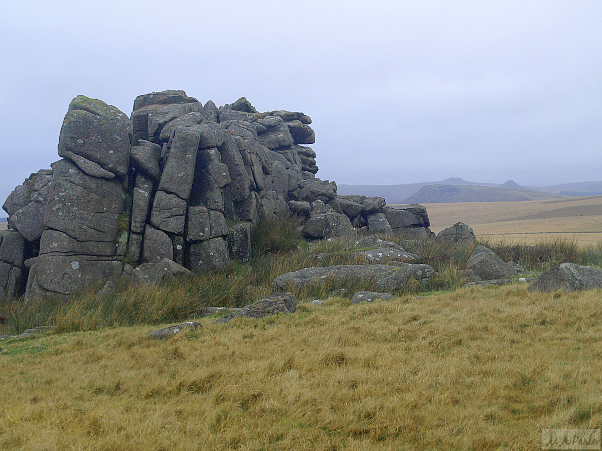 View north from Little Trowlesworthy Tor