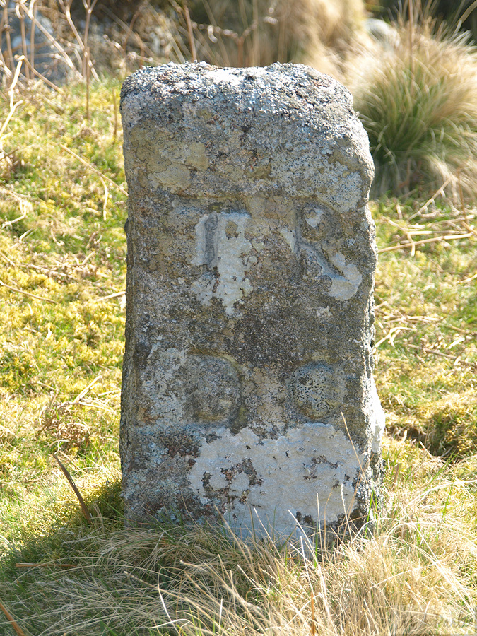 Tavistock Rural District Council Boundary Stone
