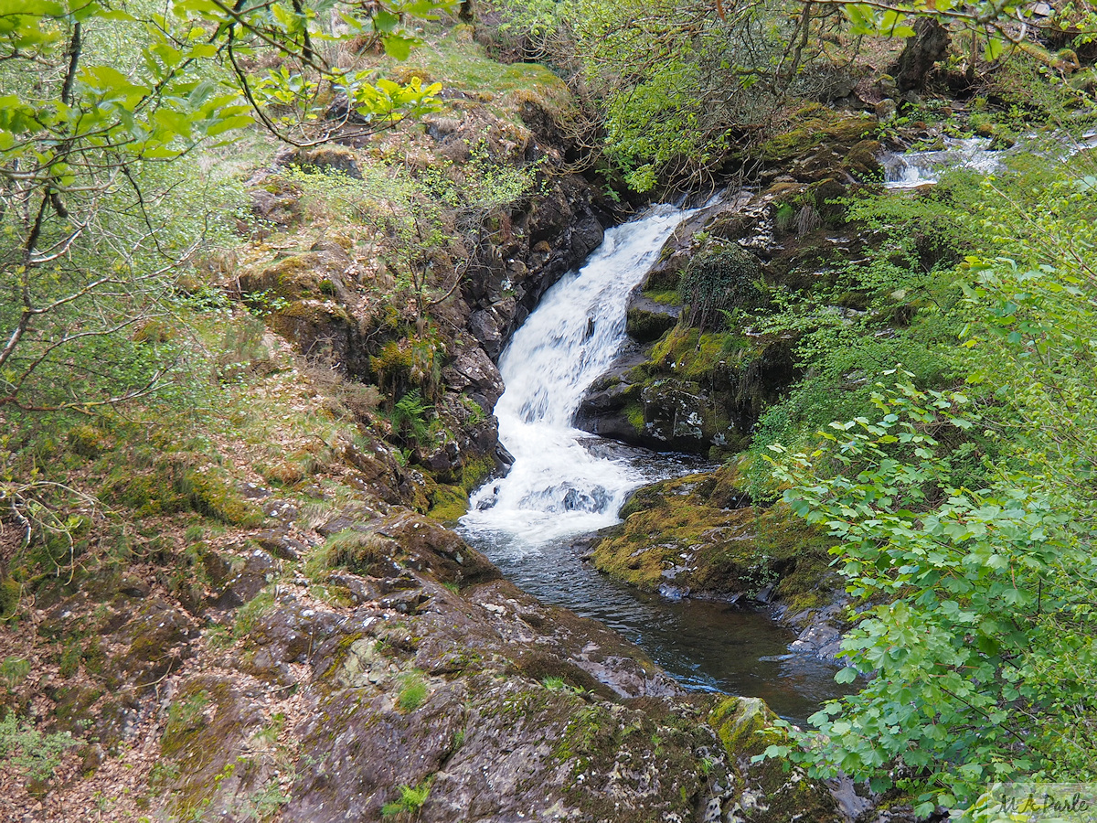 East Okement River, waterfall upstream from West Cleave