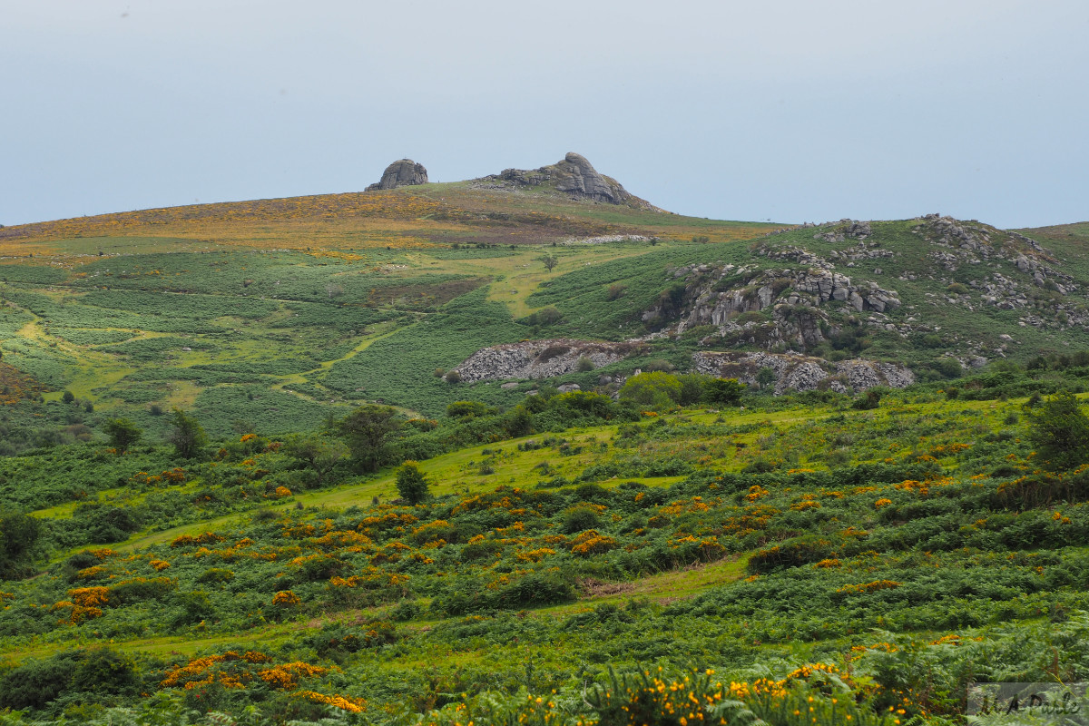 View across Houndtor Down with Holwell Quarry and Haytor Rocks