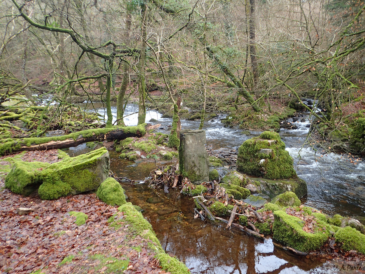 Remains of the weir for Mill Leat and the start of the leat