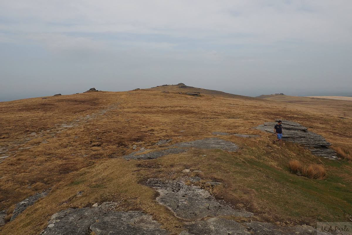 View to Yes Tor from High Willhays