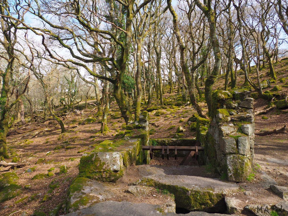 Remains of drum house, Dewerstone Quarries inclined plane tramway