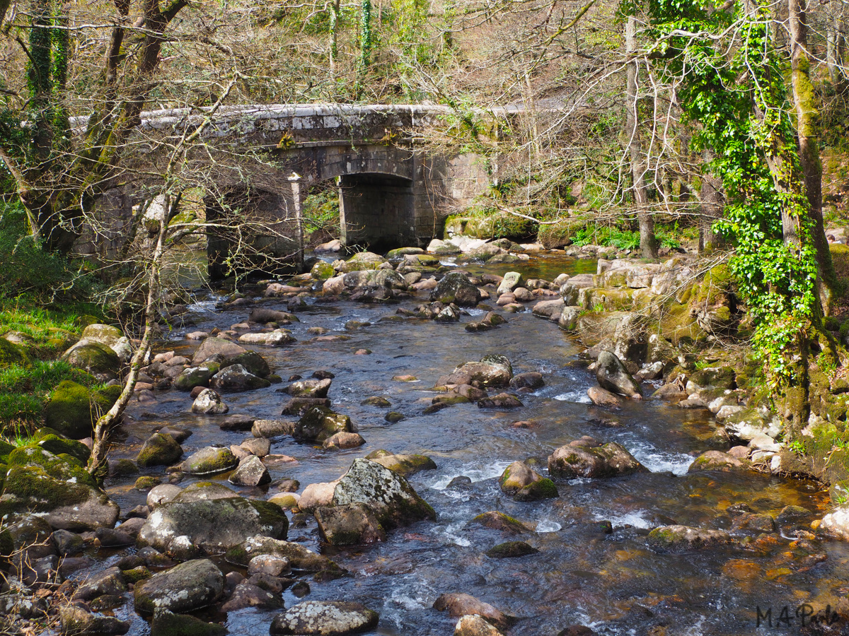 Shaugh Bridge at the confluence of the rivers Plym and Meavy