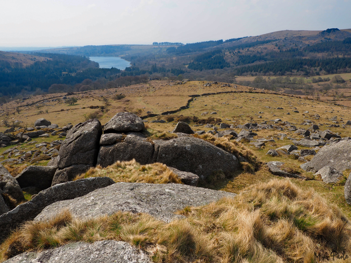 View to Burrator Reservoir from Down Tor