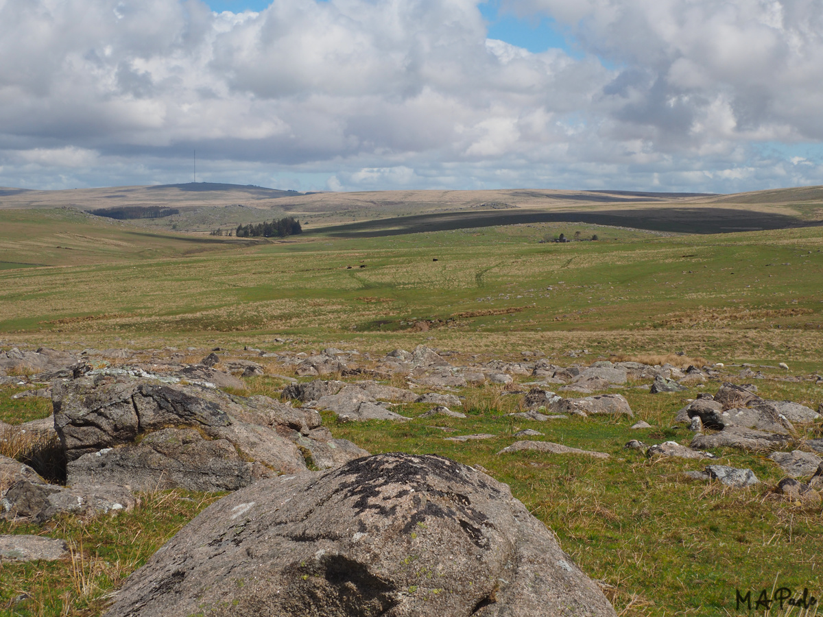 View to North Hessary Tor