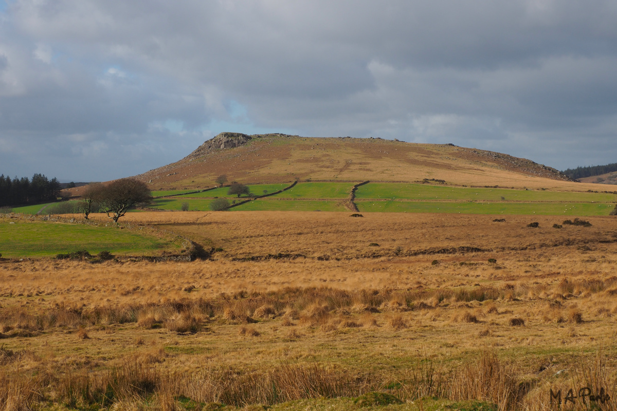 Sheeps Tor, eastern slope