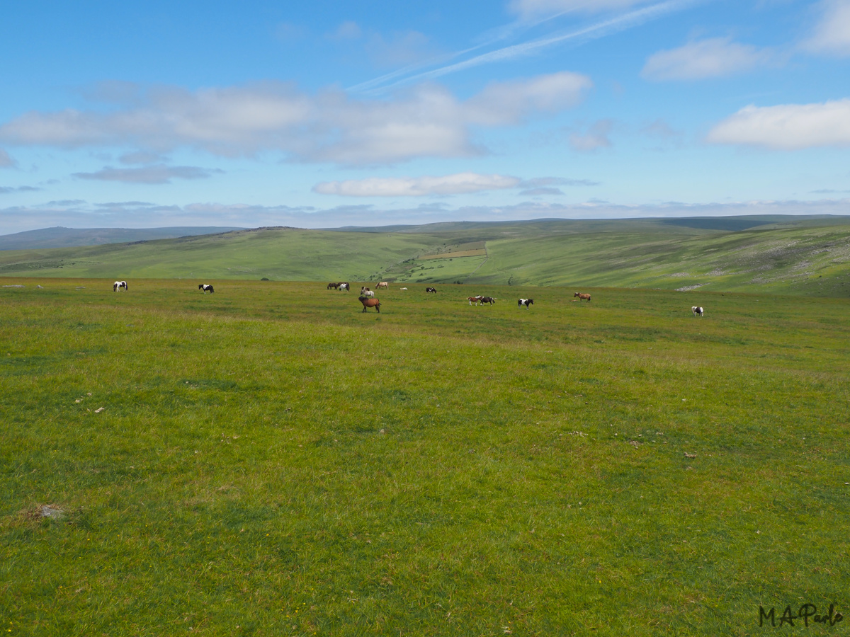 The wide expanse of Dartmoor, with White Tor and Colly Brook valley