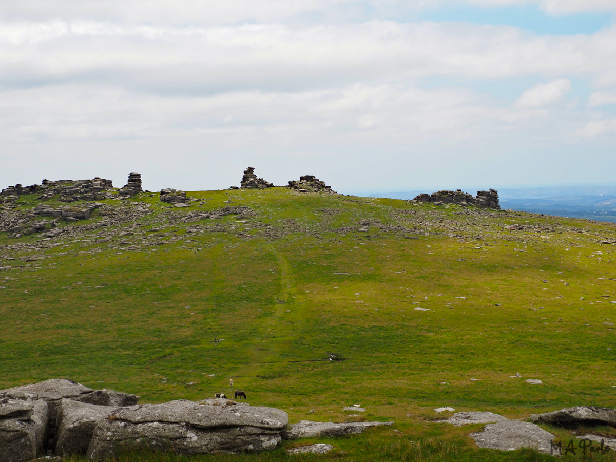 Great Staple Tor from Roos Tor
