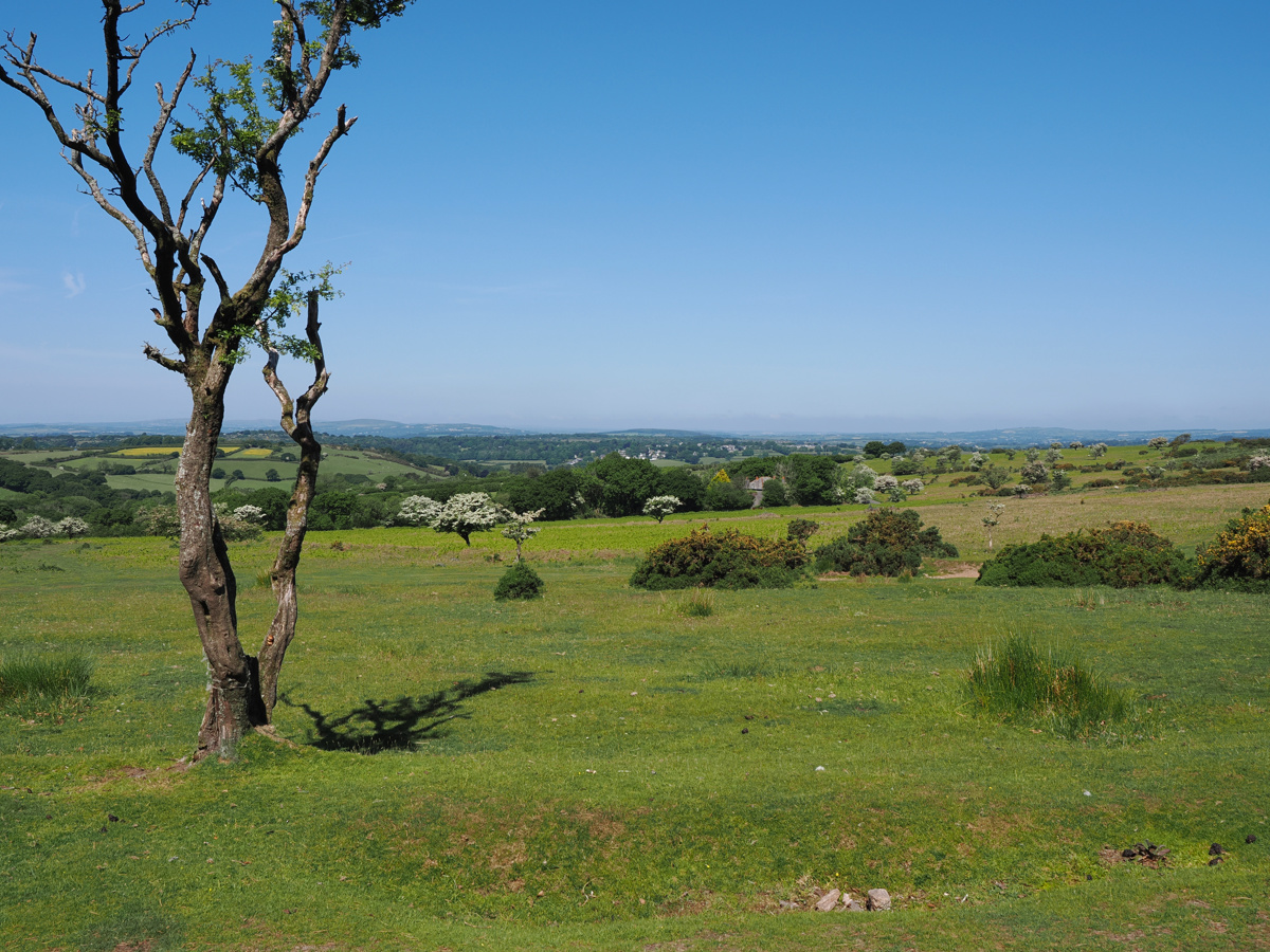 Looking north from near Brisworthy Plantation