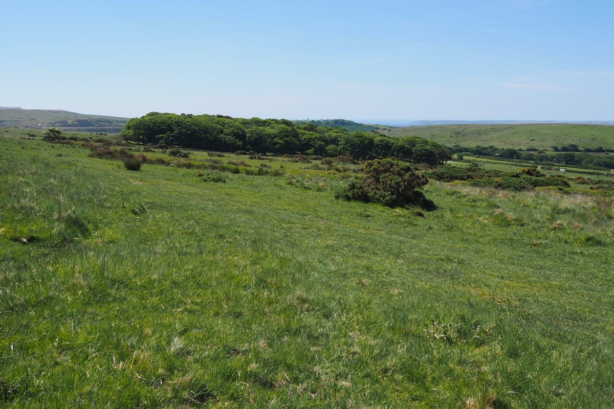 Brisworthy Plantation